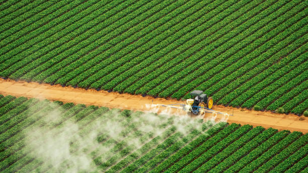Professional Pest Control in Clarkton, MO