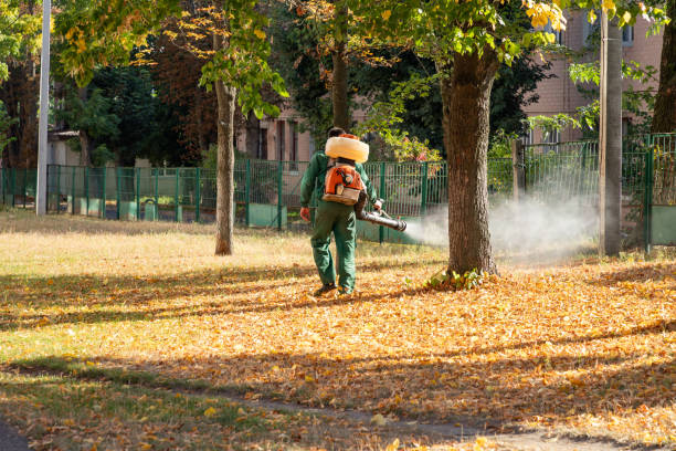 Pest Control Cost in Clarkton, MO