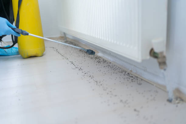 Best Cockroach Control Services  in Clarkton, MO